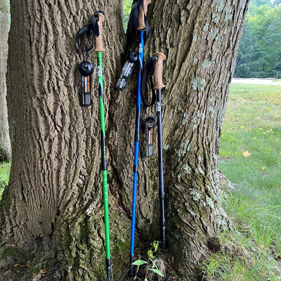 Wilcor Adjustable Hiking Pole