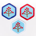 Ancestor Detector Badge 4140 Badges